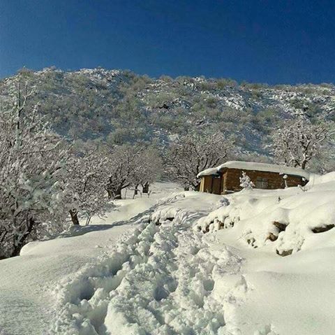 وێنه‌ و ڤیدیۆ.. هه‌ندێك ناوچه‌ی كوردستان دوای بارینی به‌فر